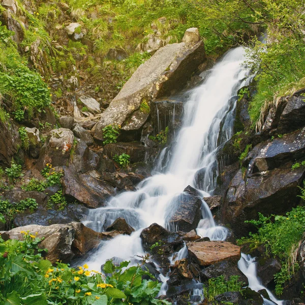 Bela cachoeira na floresta, paisagem de primavera — Fotografia de Stock