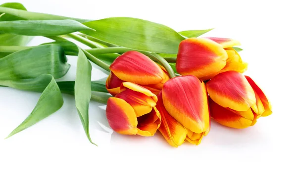 Bukiet żółtych tulipanów izolowanych na białym tle — Zdjęcie stockowe