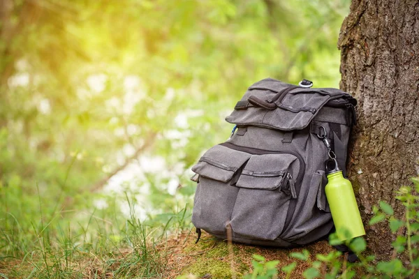 Ormandaki ağır sırt çantası trekking — Stok fotoğraf