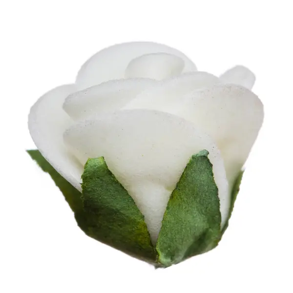 Białe, głowa kwiat na białym tle, piękny wystrój, widok z góry — Zdjęcie stockowe