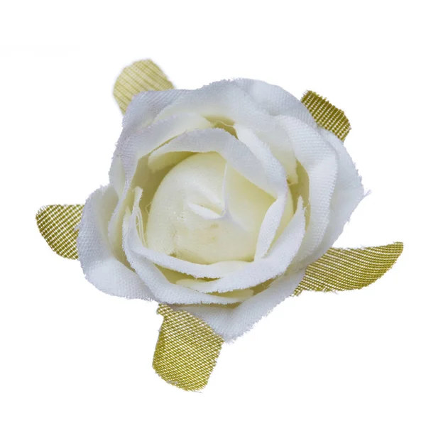 Tête de fleur blanche isolée, belle décoration, vue sur le dessus — Photo