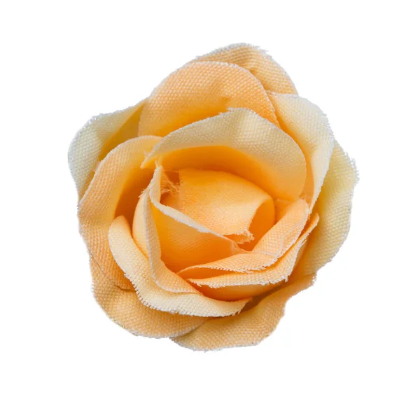 Tête de fleur orange isolée, belle décoration, vue sur le dessus — Photo