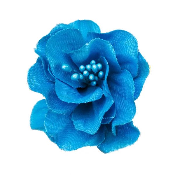 Синя квіткова голова ізольована, красива прикраса, вид зверху — стокове фото