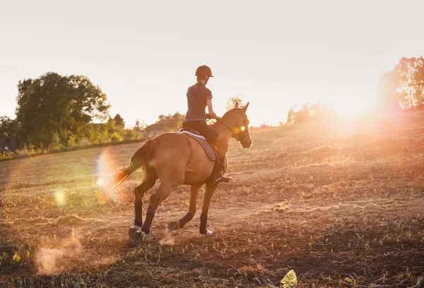 Chica a caballo al atardecer . — Foto de Stock