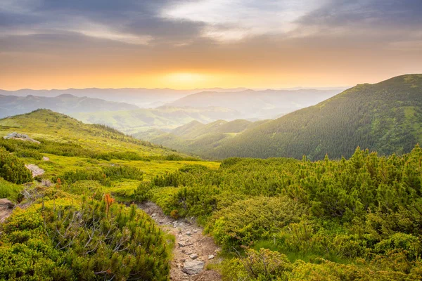 Summer sunrise on a mountaintop. Great view of the mountain landscape — Stock Photo, Image