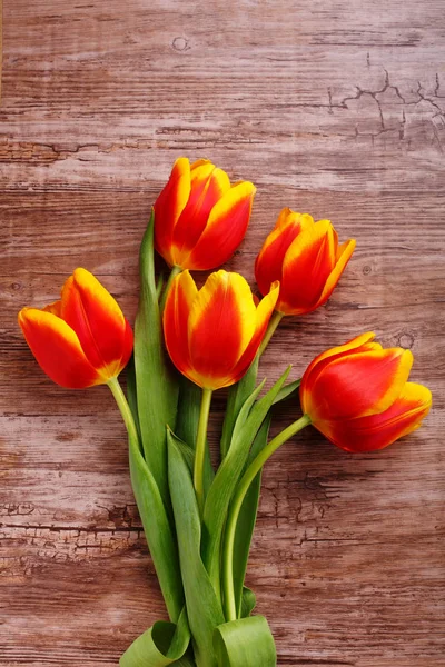 Beautiful bouquet of yellow tulips — Stock Photo, Image