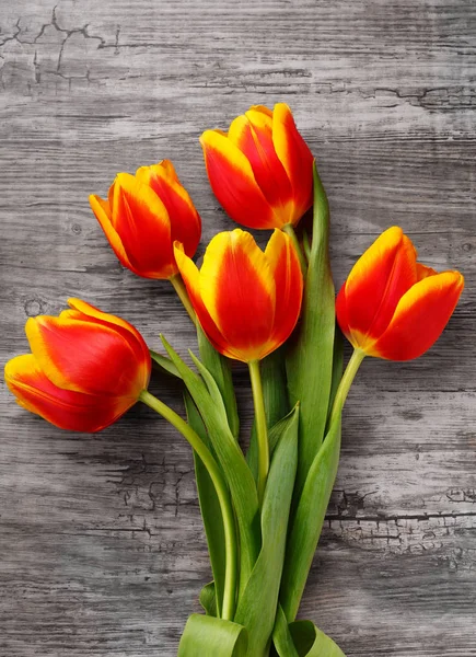 Piękny bukiet żółtych tulipanów — Zdjęcie stockowe