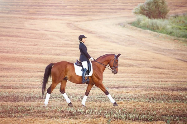 Mujer montando un caballo. Chica en casco oscuro, jeans y botas altas — Foto de Stock