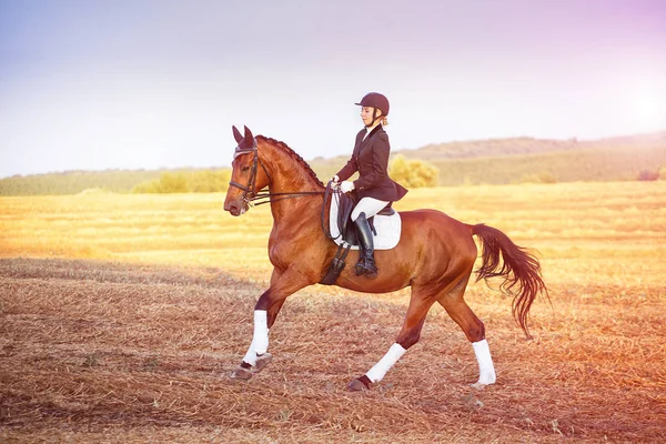 Mulher montando um cavalo. Desportista equestre jockey — Fotografia de Stock