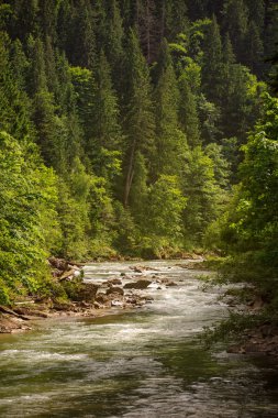 dağ nehir taşları ile