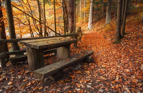 桌子和长板凳附近足迹覆盖着橘黄色的叶子 — 图库照片