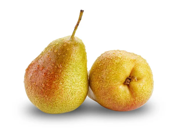 白い背景に2本の熟した梨が. — ストック写真