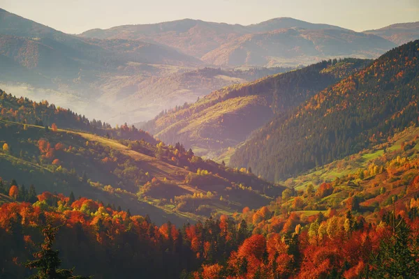 Bosque de montaña de otoño. El bosque está a finales de otoño . — Foto de Stock