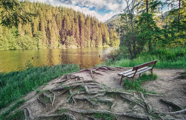 En plats för vila. En lugn plats för reflektion i parken nära sjön. — Stockfoto