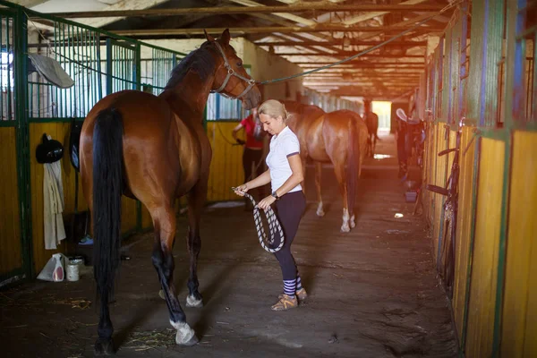 Mulher com seu Cavalo - jovem cavaleira no estábulo — Fotografia de Stock