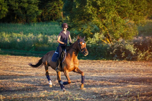 Nő visel sisakot mezőben barna ló lovaglás — Stock Fotó