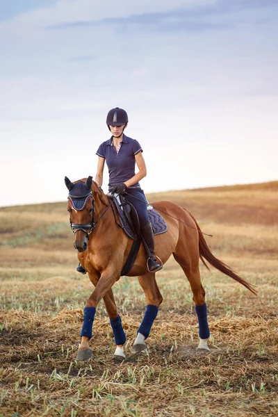 Mulher montando um cavalo. Desportista equestre jockey — Fotografia de Stock