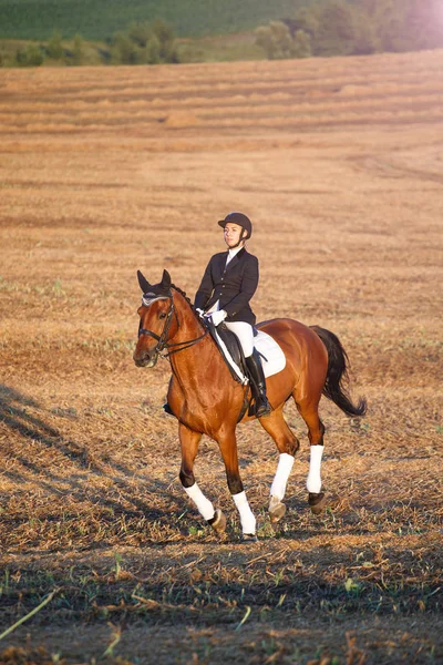 Mulher montando um cavalo. Desportista equestre jockey — Fotografia de Stock