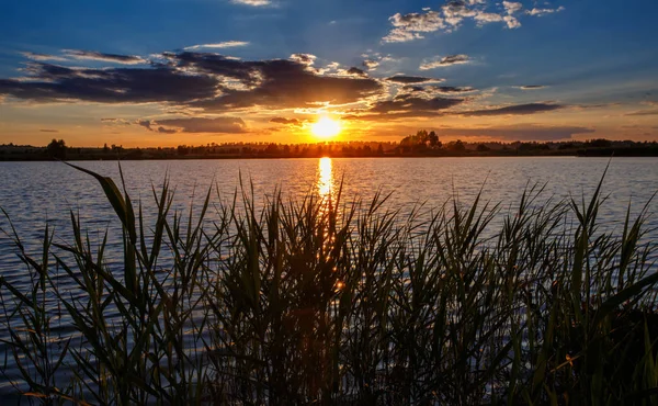 Yaz manzara. Günbatımı su üzerinde.