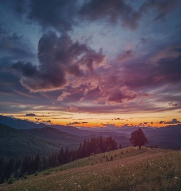 Akşam manzara renkli güneş ışığı altında. Dağ manzarası. Günbatımı.