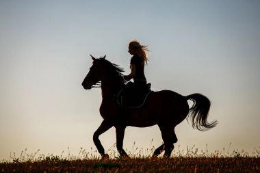 at sırtında binici siluet