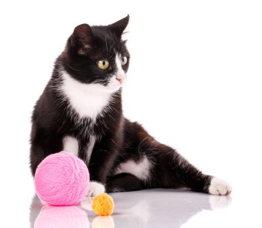 Kedi üzerinde beyaz izole. yavru kedi iş parçacığı bir top ile oynadı.