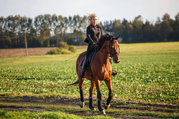 Ung vacker flicka - rider en häst — Stockfoto