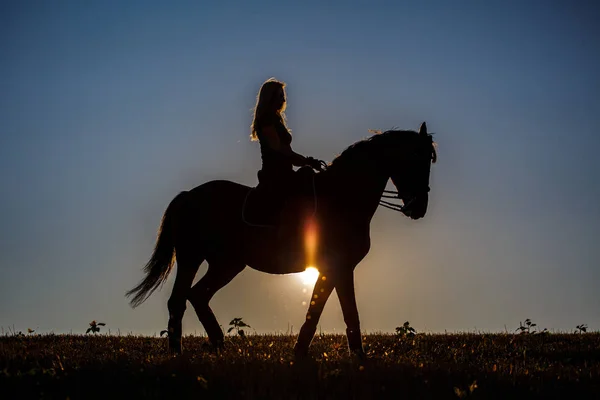 Hermosa sensualidad elegante mujer cowgirl silueta, montando un caballo.. —  Fotos de Stock