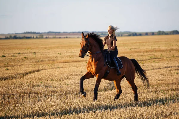 年轻的女运动员骑马 — 图库照片