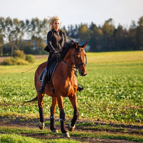 年轻漂亮的女孩-骑着马 — 图库照片