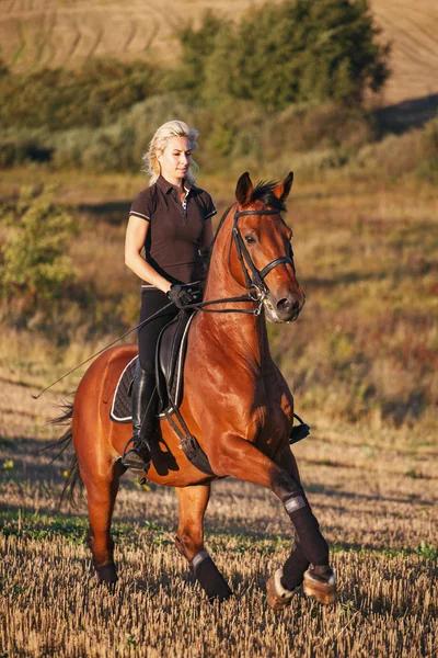 Cavallo di guida marrone di giovane donna — Foto Stock