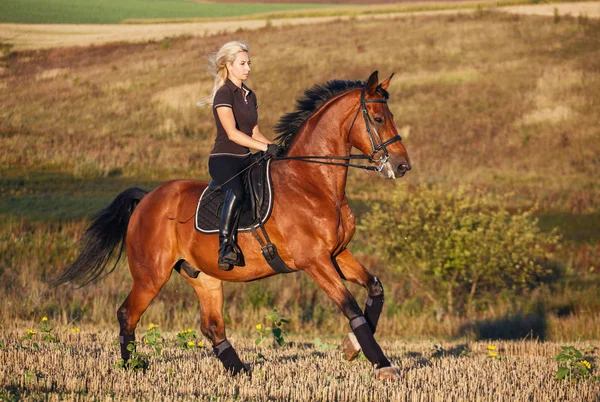 骑马的年轻女子骑手 — 图库照片