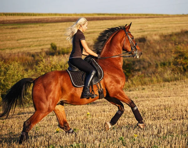 Joven chica bonita - montar a caballo — Foto de Stock