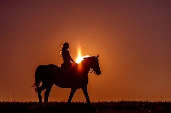Femme, monté sur un cheval au coucher du soleil — Photo
