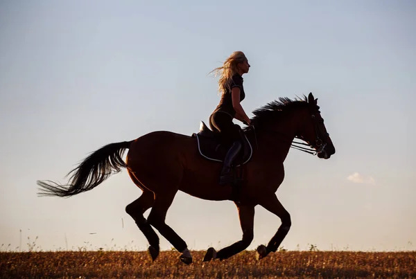 Silueta de una mujer de equitación gratis en campo —  Fotos de Stock