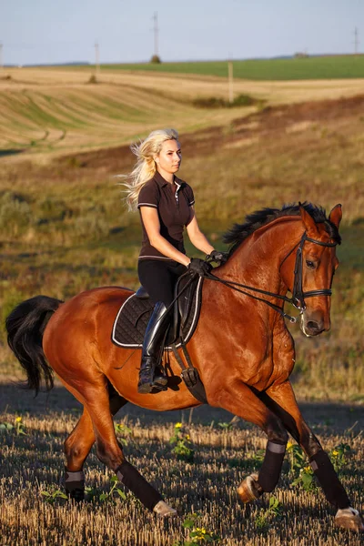 Koně, aktivní odpočinek, sport a jezdecké koncepce - sportovní žena na koni — Stock fotografie