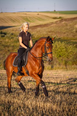 Kız genç bir ata biniyor.
