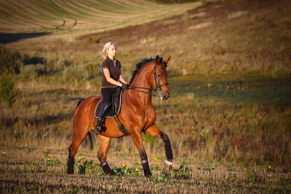 Mladá žena na koni hnědý kůň — Stock fotografie