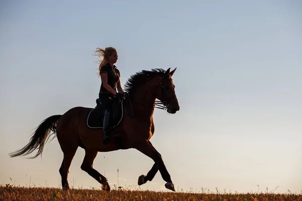 Krásný kůň s dívkou silueta — Stock fotografie