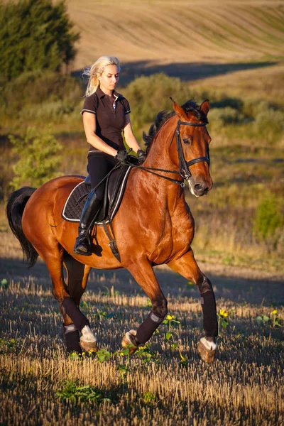 Jóvenes deportistas a caballo — Foto de Stock