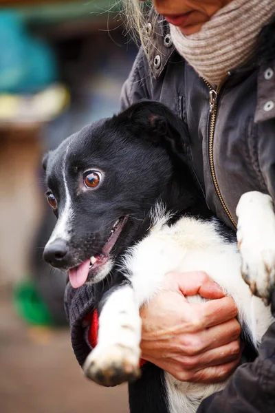 Un uomo tiene in braccio un cane senzatetto. Problemi dei cani senzatetto . — Foto Stock