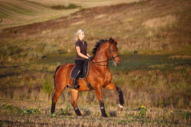 Young female rider on bay horse in field.