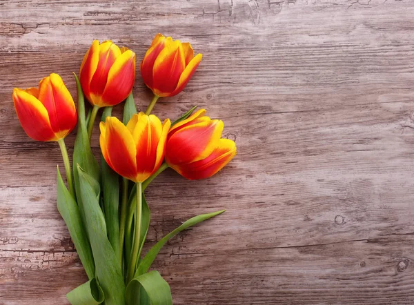 Beautiful bouquet of yellow tulips — Stock Photo, Image