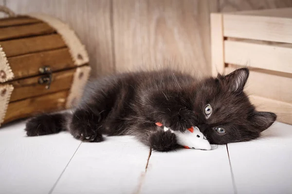 Liten svart kattunge spelar leksak på en trä bakgrund. — Stockfoto