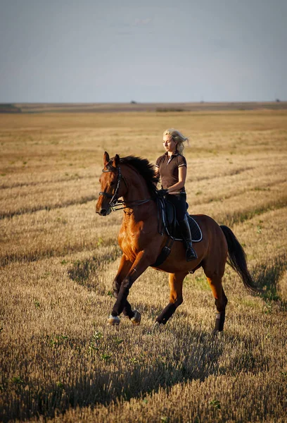 馬、活動的なレクリエーション、スポーツ、乗馬コンセプト - 馬に乗ってスポーツ女性 — ストック写真