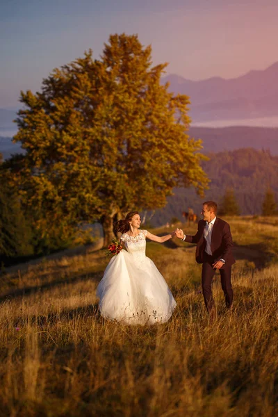 Romantyczny newlywed para w góry. — Zdjęcie stockowe