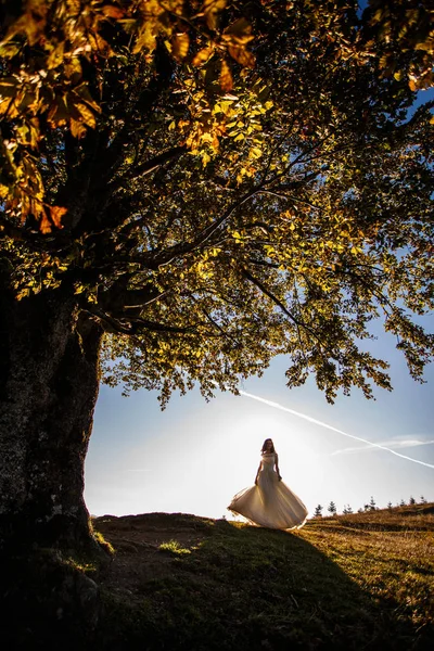 Stylish bride posing on mountains background. — Stock Photo, Image