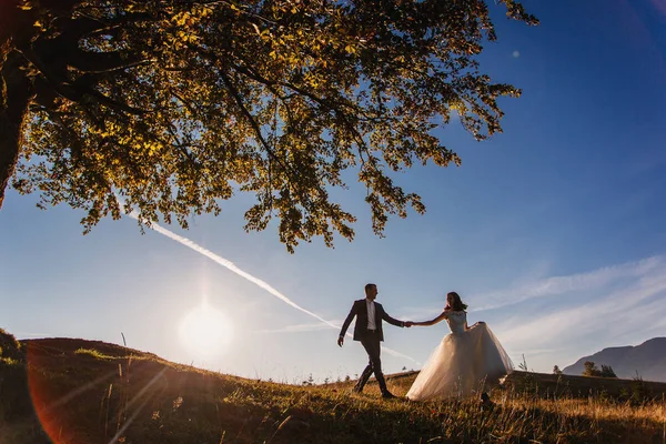 Para ślub na zachód słońca w Karpatach — Zdjęcie stockowe