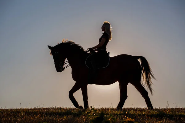 Giovane ragazza a cavallo al tramonto — Foto Stock