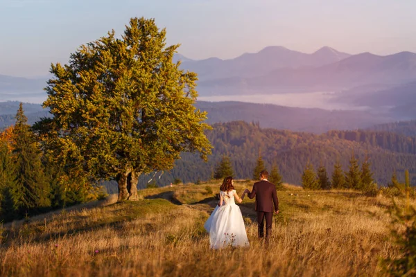 Mann und Frau haben gerade in den Bergen bei Sonnenuntergang geheiratet. — Stockfoto